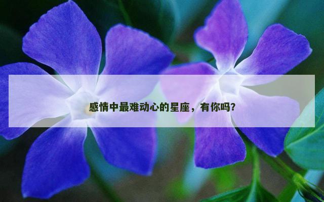 感情中最难动心的星座，有你吗？