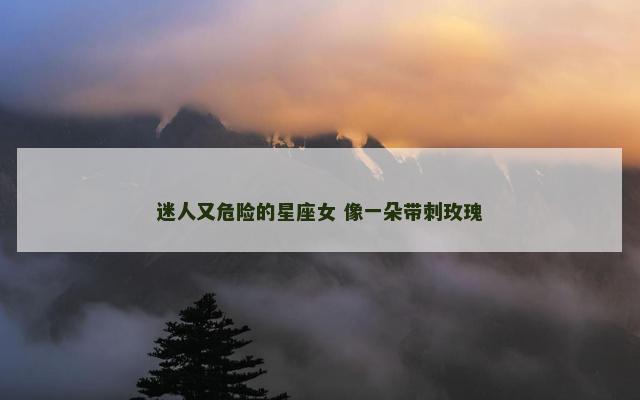 迷人又危险的星座女 像一朵带刺玫瑰