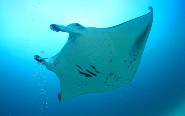 空窗期最久,很难脱单的三个星座 空窗期最久,很难脱单的三个星座