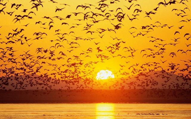 这些生肖女很会装 不要轻易相信她们