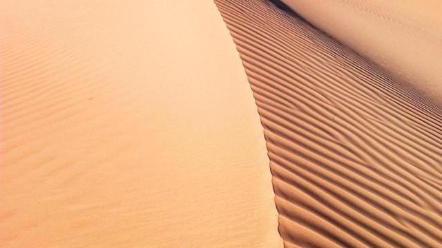 气质超好的三个生肖女 年纪越大越有魅力