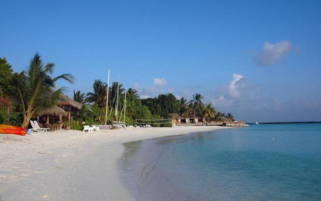 懂得克制自己 情商非常高的生肖 懂得克制自己 情商非常高的生肖