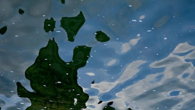 做事总是白费功夫的生肖 做事总是白费功夫的生肖