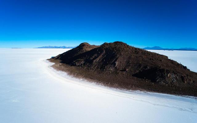 天才重现 双商超高为人精明的生肖 天才重现 双商超高为人精明的生肖