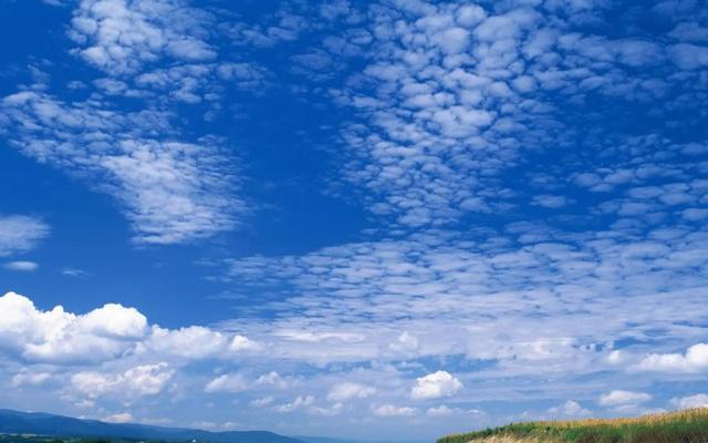 宁愿晚婚也要寻求真爱的生肖