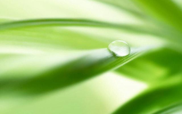 爱面子 这些生肖在爱情上太被动