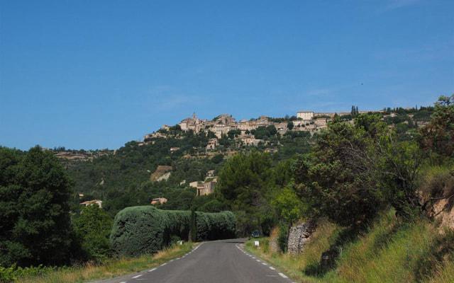 生来命运很棒的三大生肖 人生处处有惊喜 生来命运很棒的三大生肖 人生处处有惊喜