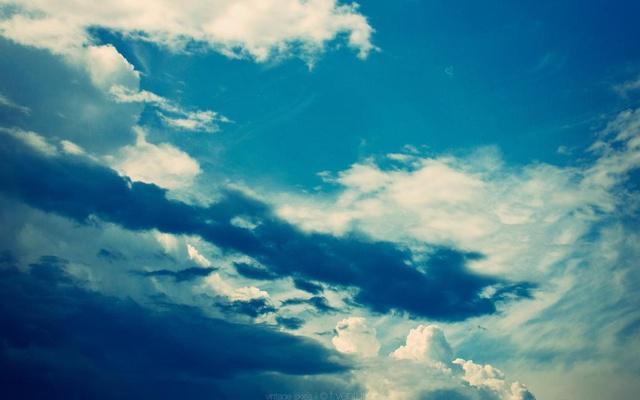 夸张 卖血卖肾也要买新款苹果的生肖 夸张 卖血卖肾也要买新款苹果的生肖