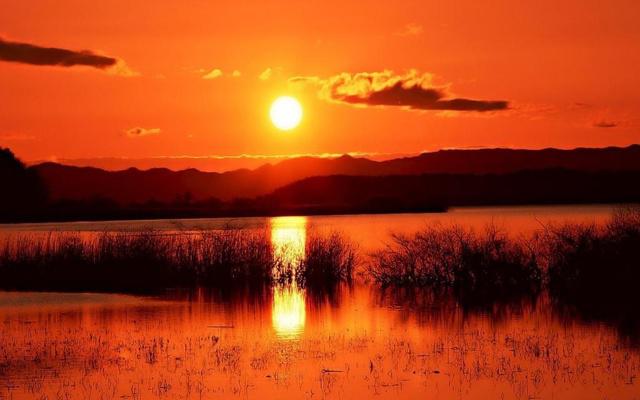 爸爸属马妈妈属牛 孩子属什么比较好 爸爸属马妈妈属牛 孩子属什么比较好
