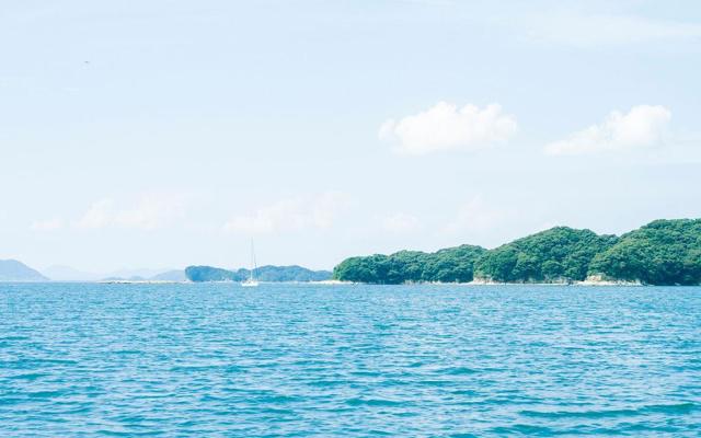 1961年5月八字命理 1961年5月八字命理