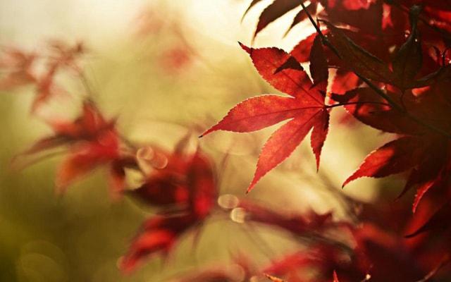 戒指戴脖子上有风水吗 戒指戴脖子上有风水吗