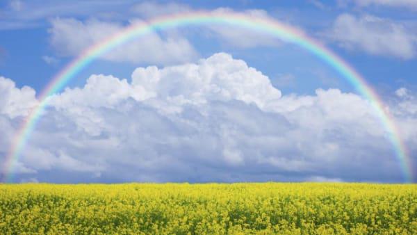 男命八字食伤大运走财运 男命八字食伤大运走财运