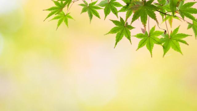 八字女命伤官为女 八字女命伤官为女