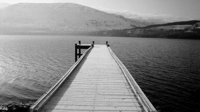 风水上门口栽桃树好