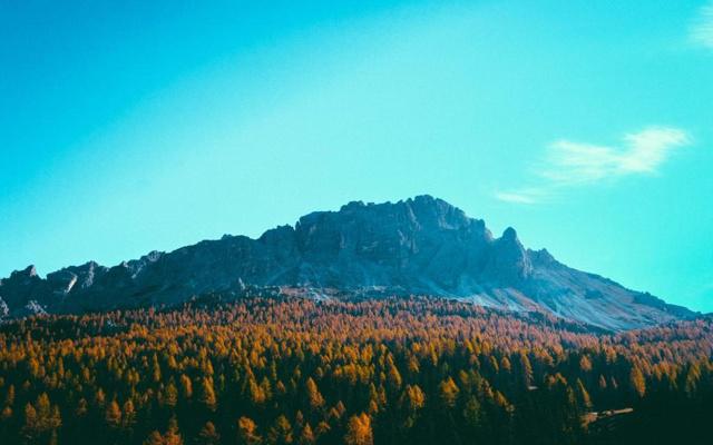 栅栏爬藤影响风水吗