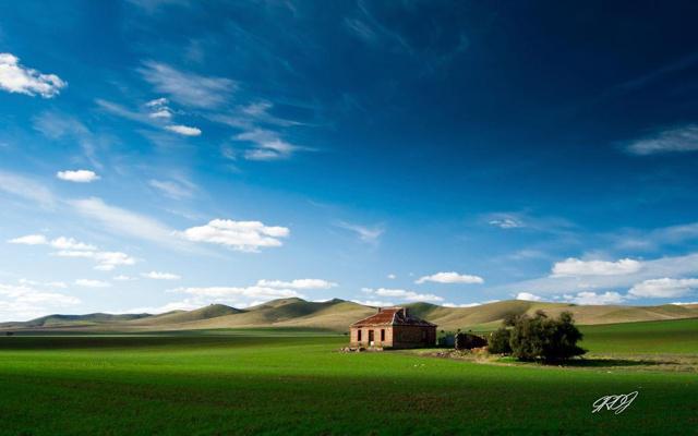 八字怎么看双妻命