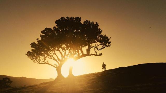 风水罗盘能看宝藏吗