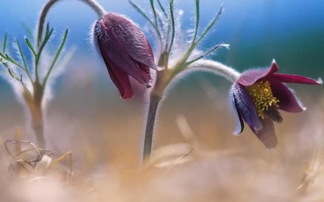 什么八字女命靠男人赚钱