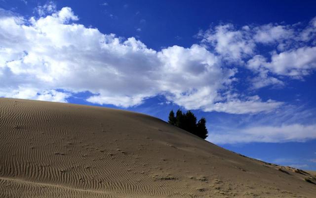 商铺多少号风水最吗