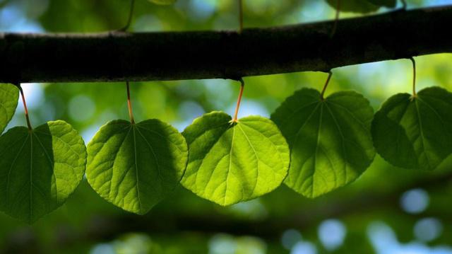 窗台漏水影响风水吗