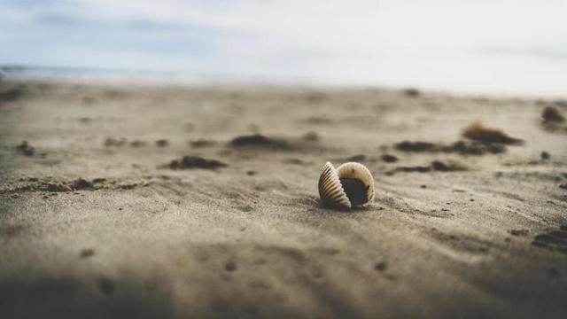 济缘命理命好八字 济缘命理命好八字