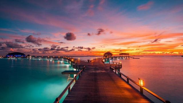 卫生间能种绿萝吗?风水好吗 卫生间能种绿萝吗?风水好吗