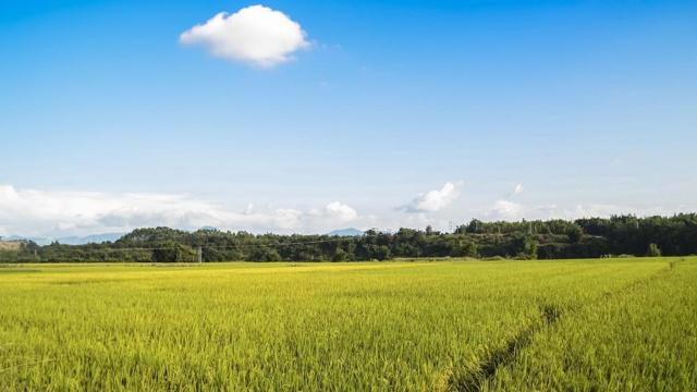 风水上可以戴口罩吗 风水上可以戴口罩吗