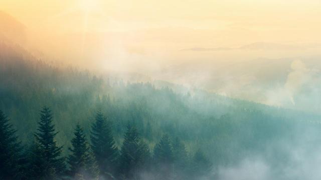 八字阴阳相同男命 八字阴阳相同男命