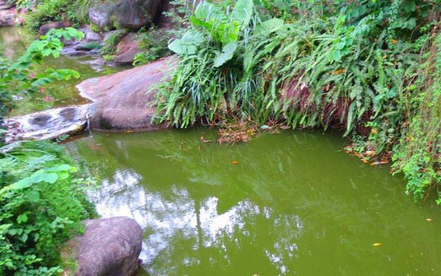 沙发可以悬挂吗?风水好吗 沙发可以悬挂吗?风水好吗