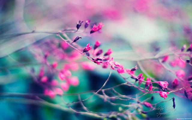 屋内能贴春联吗?风水吗 屋内能贴春联吗?风水吗