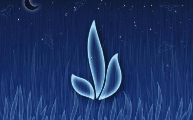 浴缸里摆件讲究风水吗