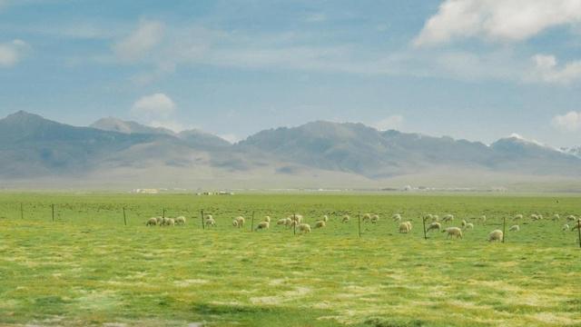 房间能置换吗?风水好吗