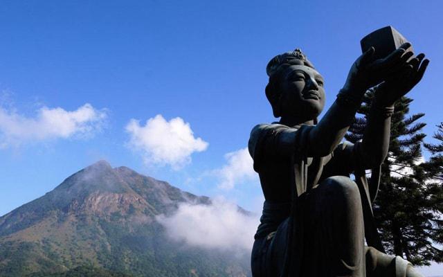 草龟属于风水乌龟吗